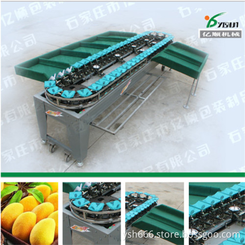 Mango weight grader YSXS-38-7-50